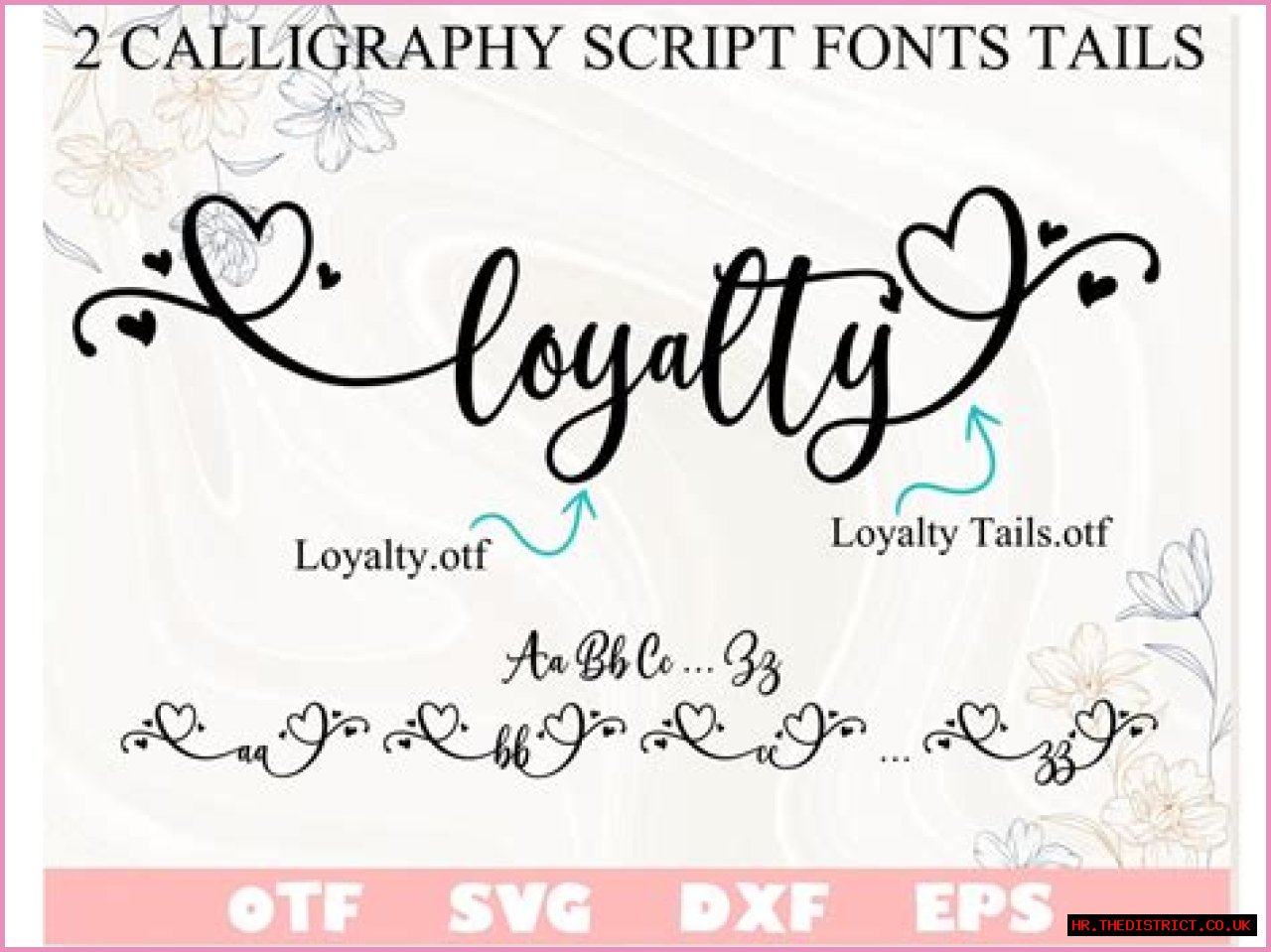 A Journey Of Love, Loyalty, And Inspiration