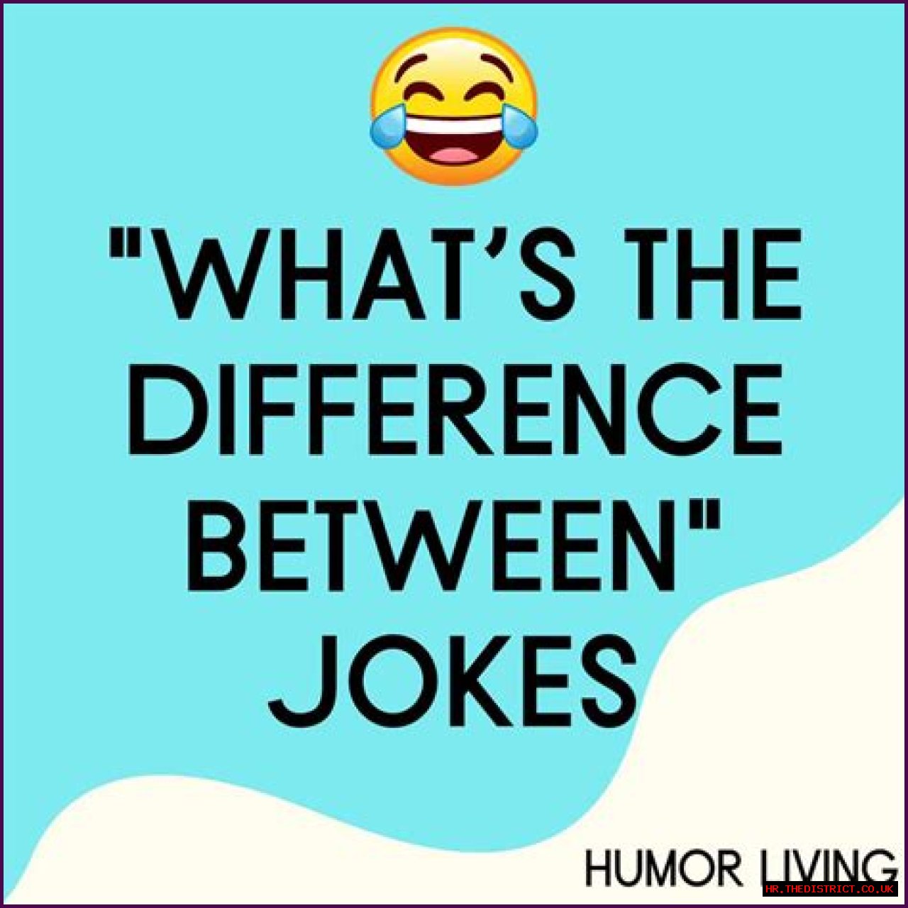The Essential Guide To Understanding The Difference Between Jokes