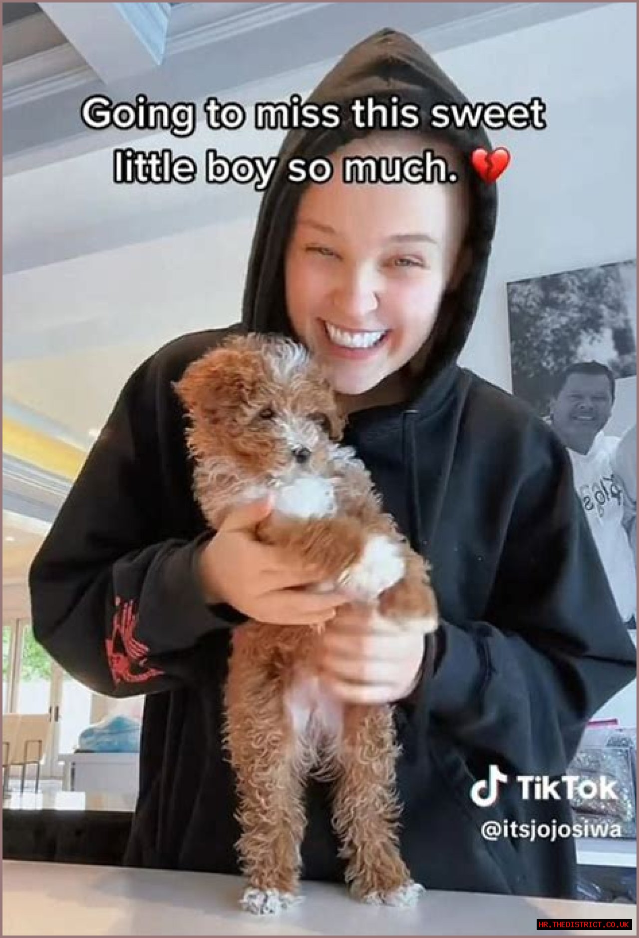 What We Discovered About 'Has JoJo Siwa Died'